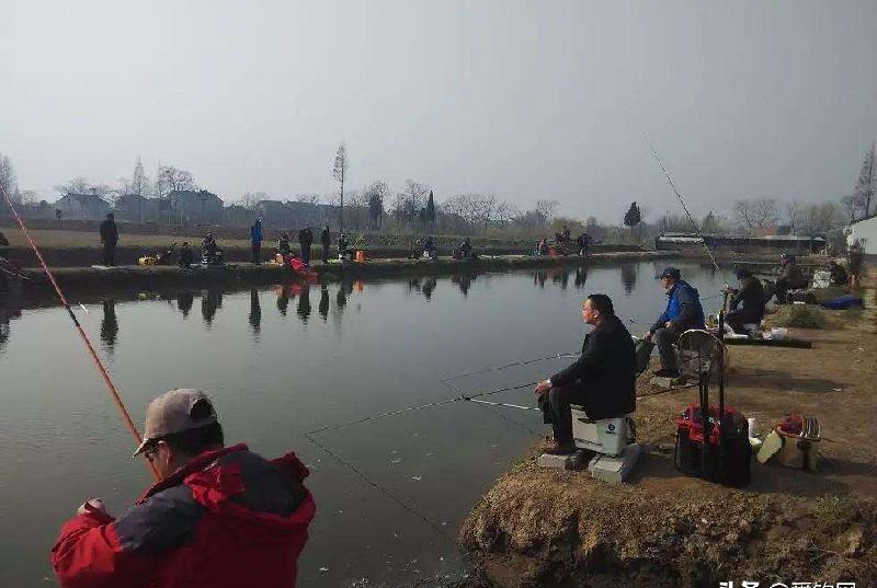 冬天黑坑怎麼釣青魚 黑坑釣青魚用什麼餌料最好