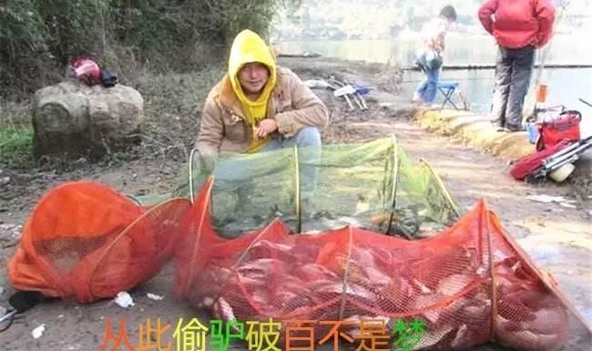 垂釣鯉魚餌料配方 秋冬季野釣鯉魚的商品餌最佳配方