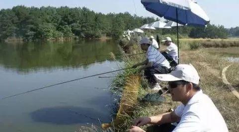 丁香油釣鯽魚怎麼用效果好 釣魚的丁香油制作方法