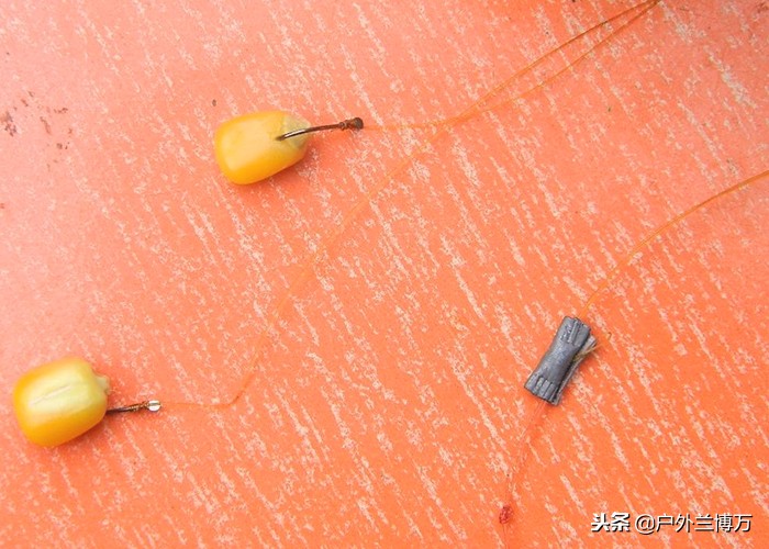 冬天釣草魚是釣底還是釣浮 冬季釣草魚用什麼餌料打窩