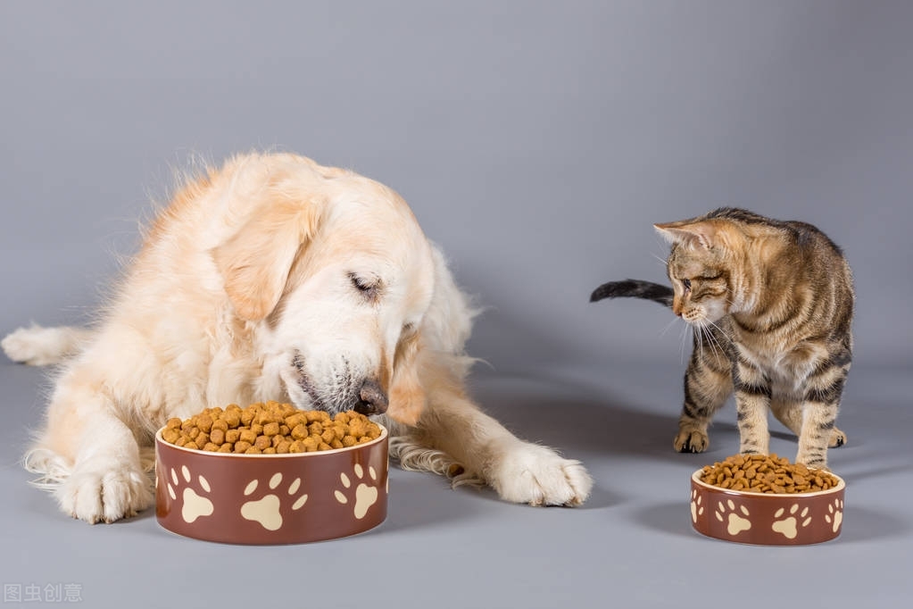 小貓多大可以吃貓糧 新生幼貓幾個月能吃泡軟的貓糧