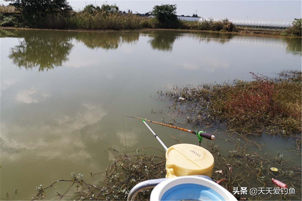 冬季西風好釣魚嗎 初冬刮西北風對釣魚有影響嗎