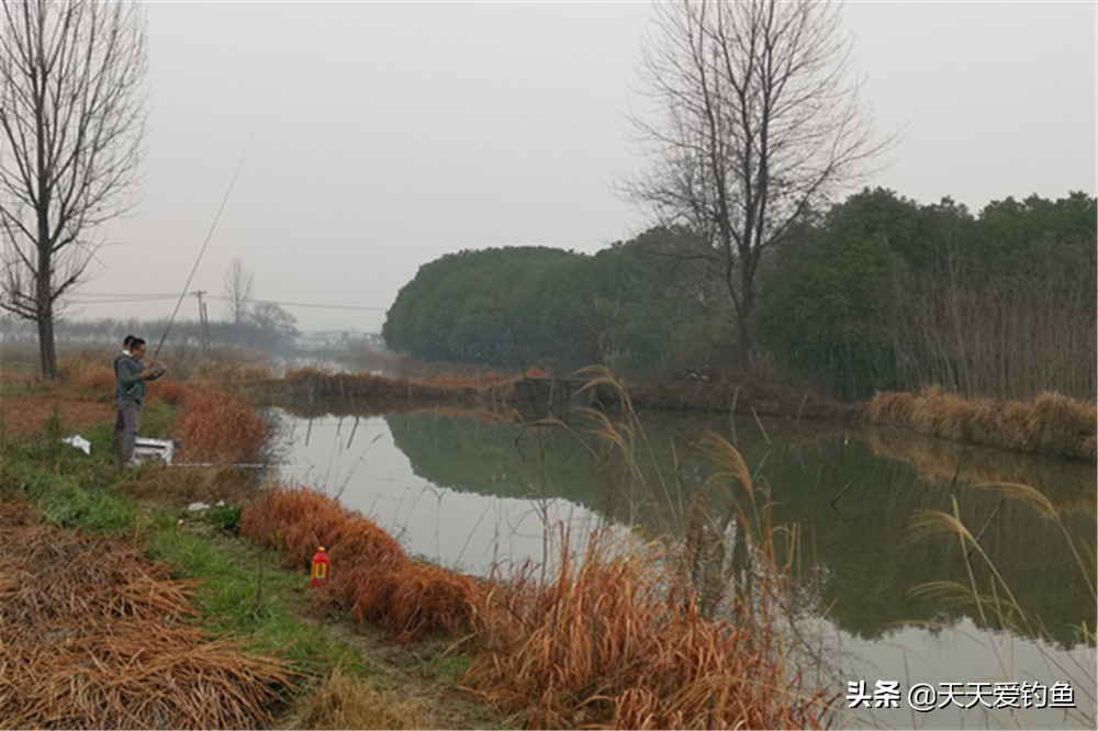 冬季西風好釣魚嗎 初冬刮西北風對釣魚有影響嗎