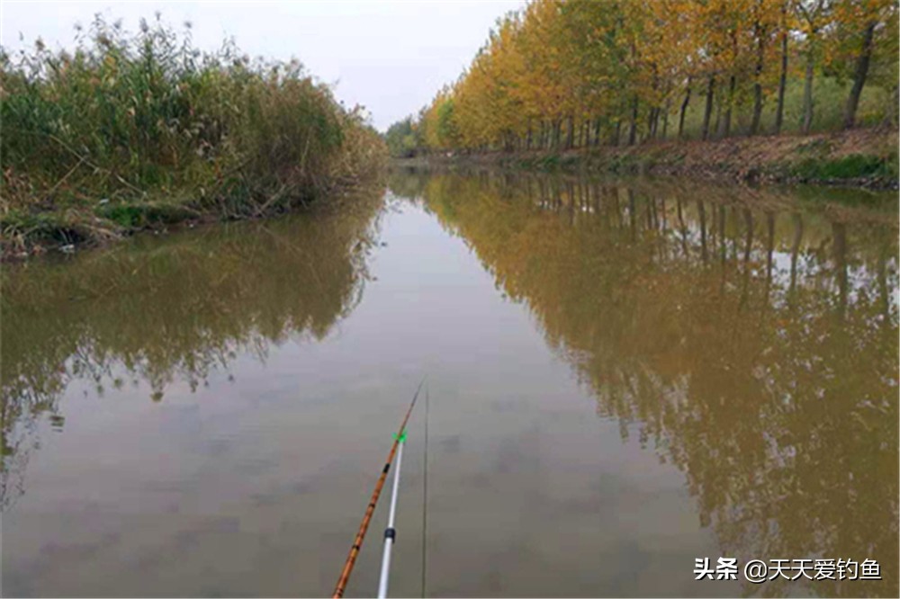冬季西風好釣魚嗎 初冬刮西北風對釣魚有影響嗎