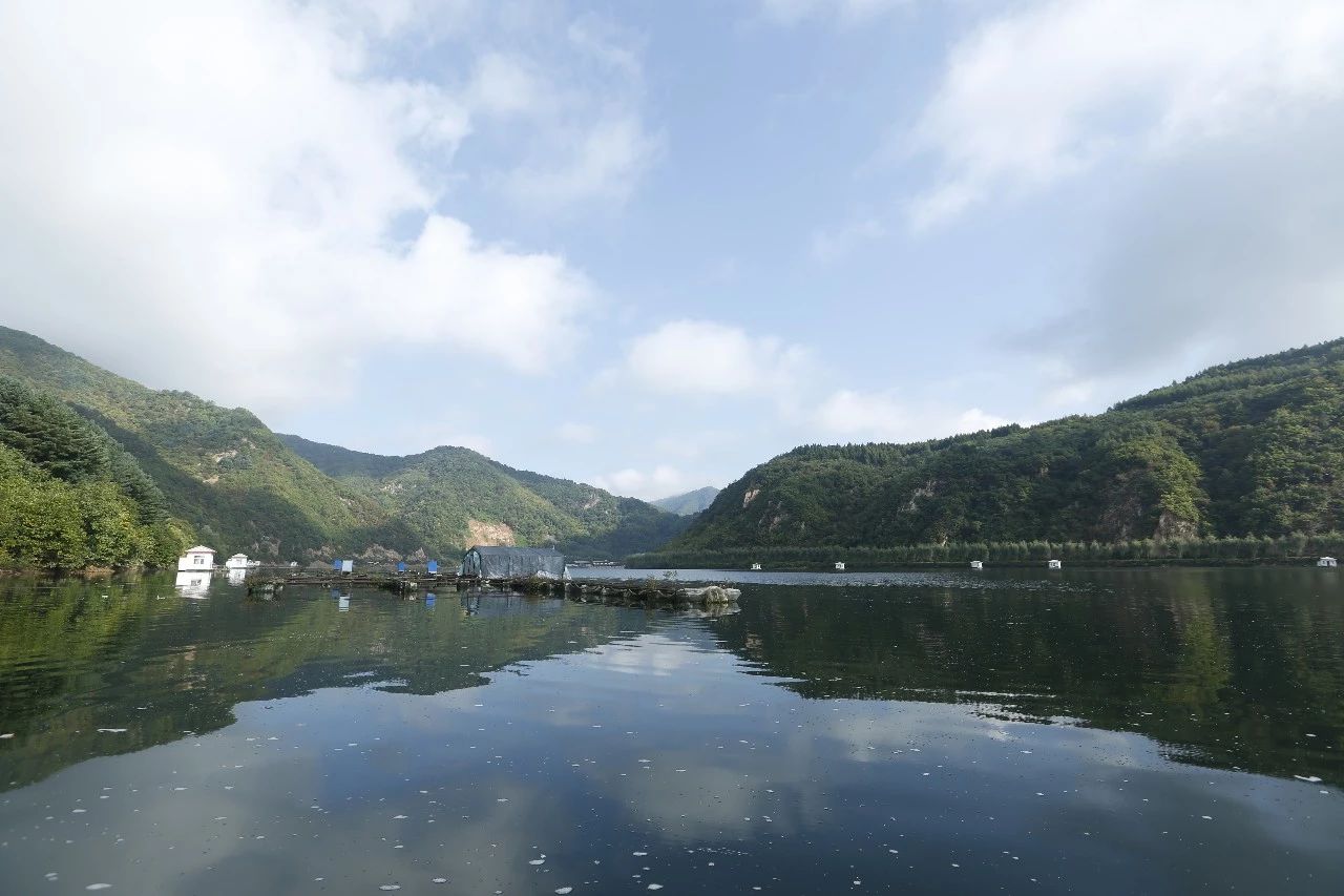 水庫釣魚技巧 冬天水庫釣魚釣多深水