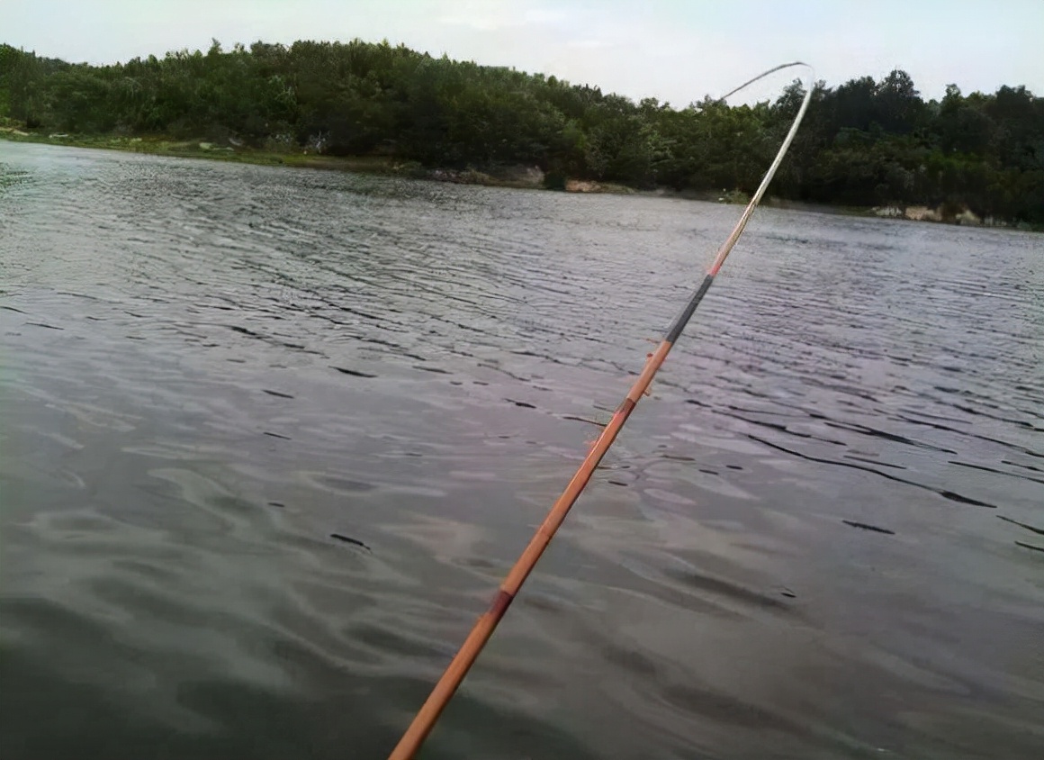 魚線如何打結最結實 釣魚線最牢固的打結方法教程