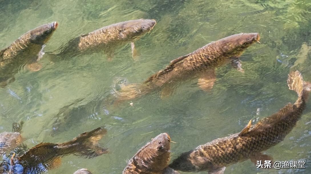 春季什麼風向最好釣魚 春季釣魚什麼位置是最佳釣位