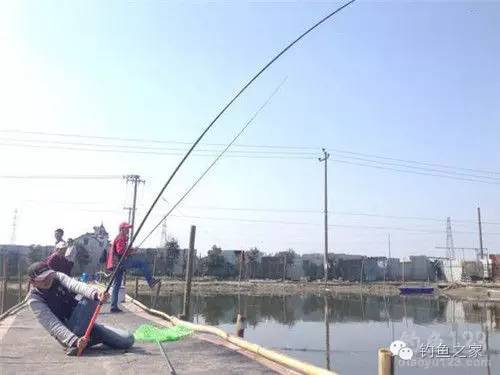 鱘魚怎麼釣教程 冬季黑坑鱘魚釣多深用什麼餌料