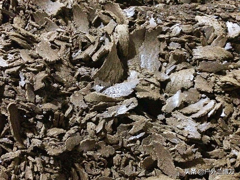 釣魚用什麼魚餌最好 冬季農村在河裡釣魚哪種餌料比較好