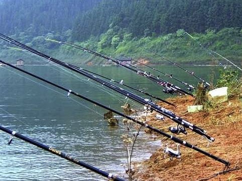 海竿釣魚用什麼鉤最好 海竿在水庫釣鯉魚用什麼鉤合適