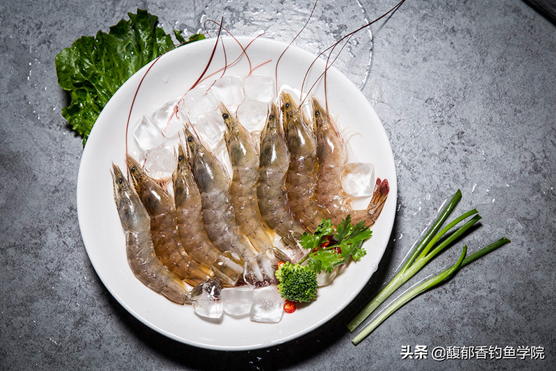 蝦拉釣鯽魚怎麼調漂 冬季釣鯽魚用河蝦效果怎麼樣