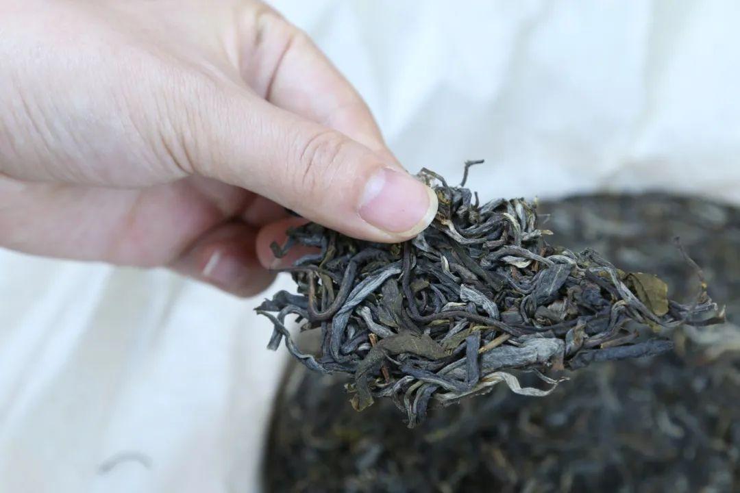 普洱茶餅如何正確撬茶 如何撬茶好喝又不傷手