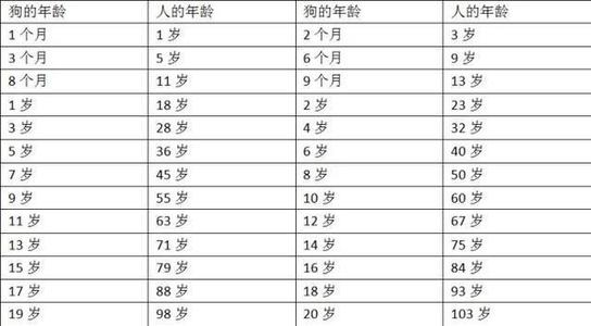 狗狗一般能活多久 狗狗的平均生理壽命是多少年