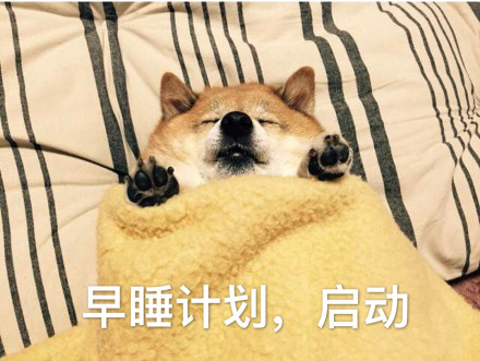 狗狗一般能活多久 狗狗的平均生理壽命是多少年