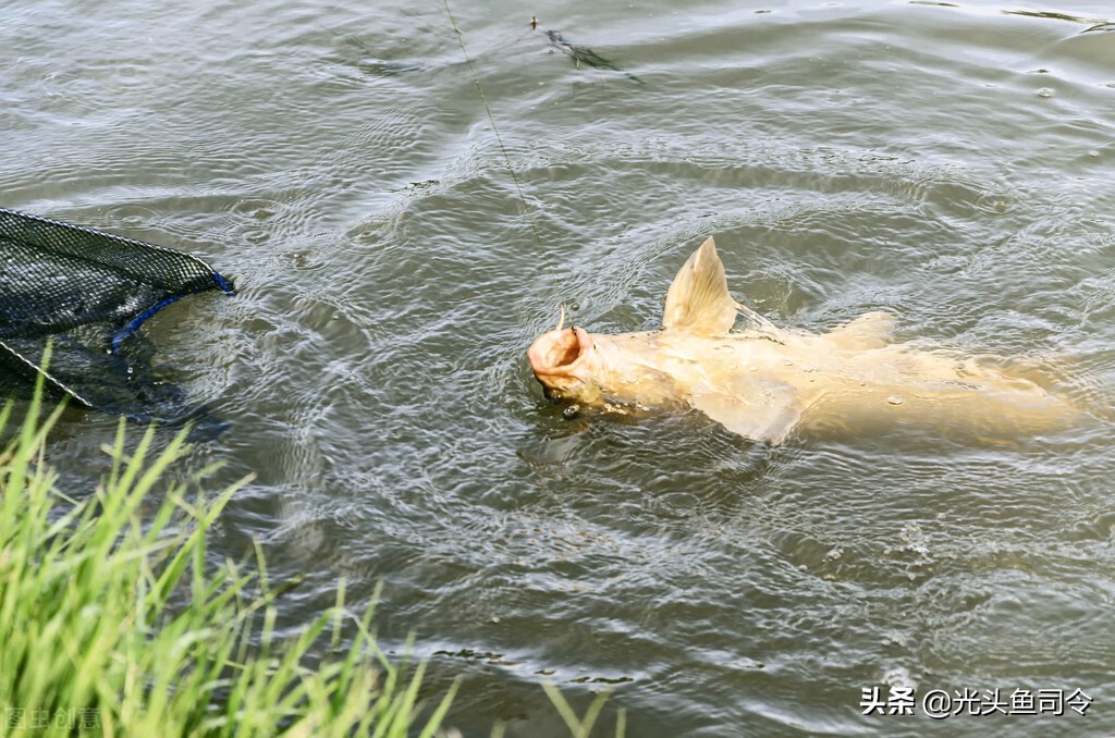 冬季降溫後幾天好釣魚 立冬後降溫第二三天怎麼釣魚