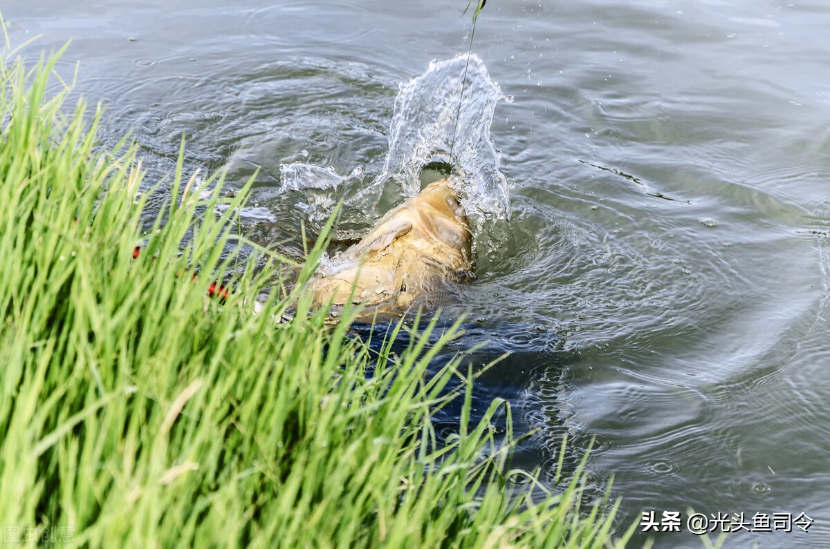 冬季降溫後幾天好釣魚 立冬後降溫第二三天怎麼釣魚