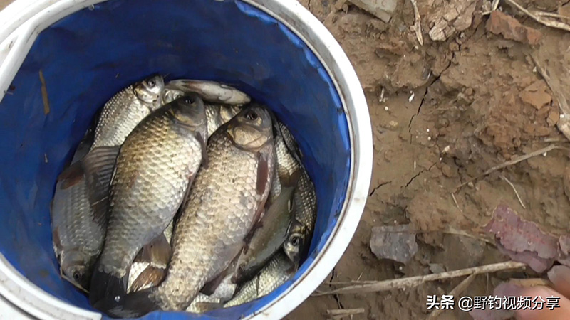 冬天釣魚釣深水還是淺水 冬釣鯽魚鰱鳙的最佳水深