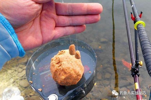 五月份釣魚用什麼餌料 河邊野釣鯽魚用什麼魚餌最好