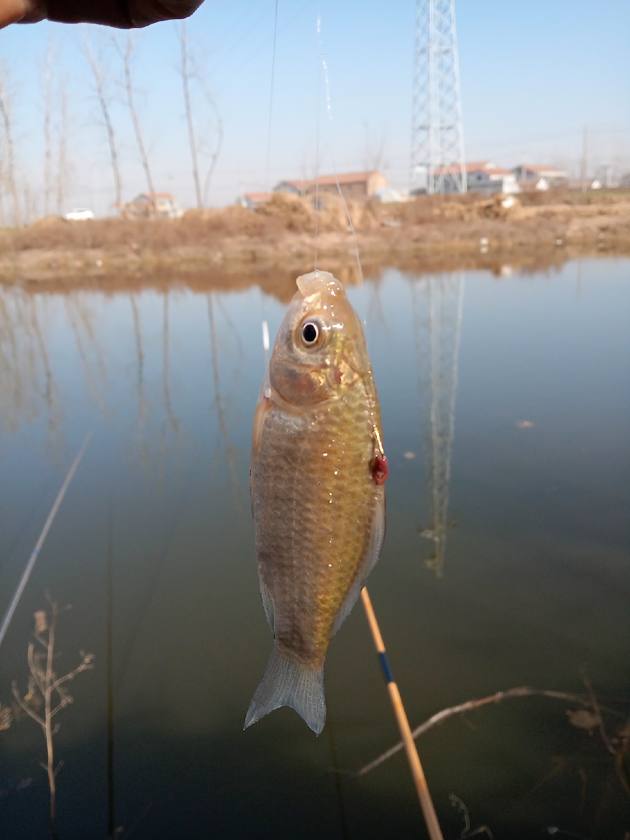 冬季釣魚水深多少合適 冬天野釣鯽鯉魚釣水深還是水淺