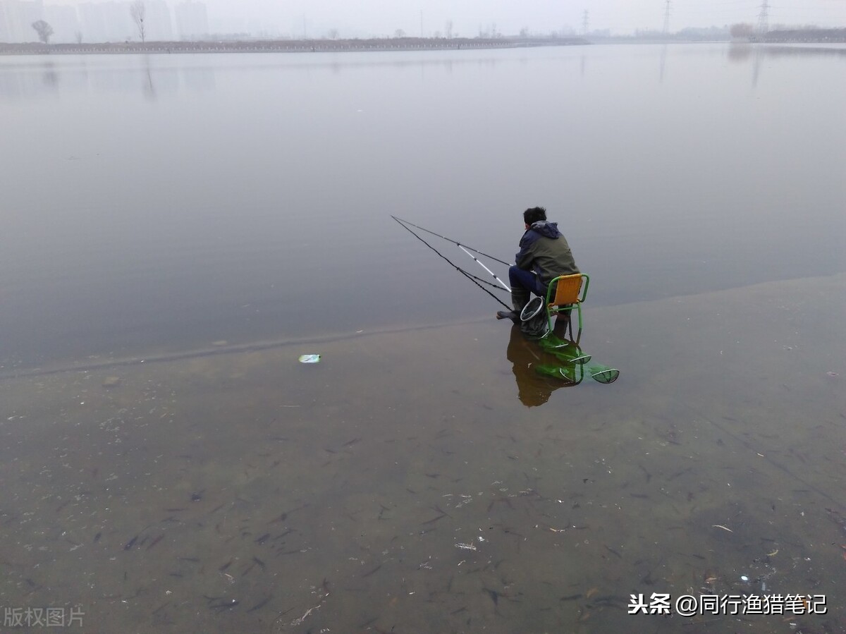 冬天南風天釣魚怎麼樣 初冬南風天氣不適合釣魚嗎