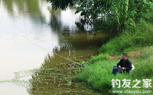 釣魚技巧大全 新手釣魚調漂方法