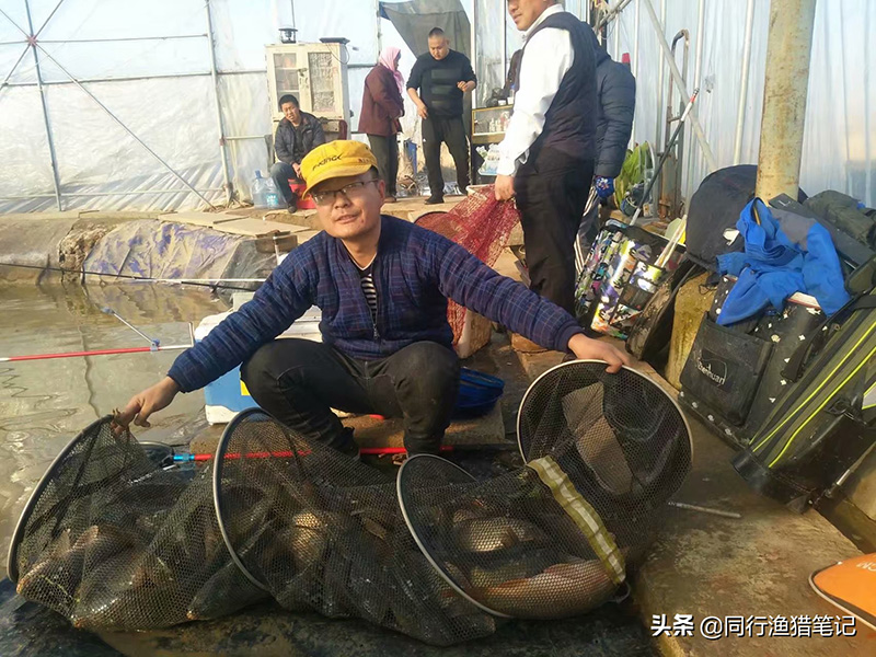 麝香酒釣魚正確的方法 黑坑野釣鯽魚如何泡麝香酒