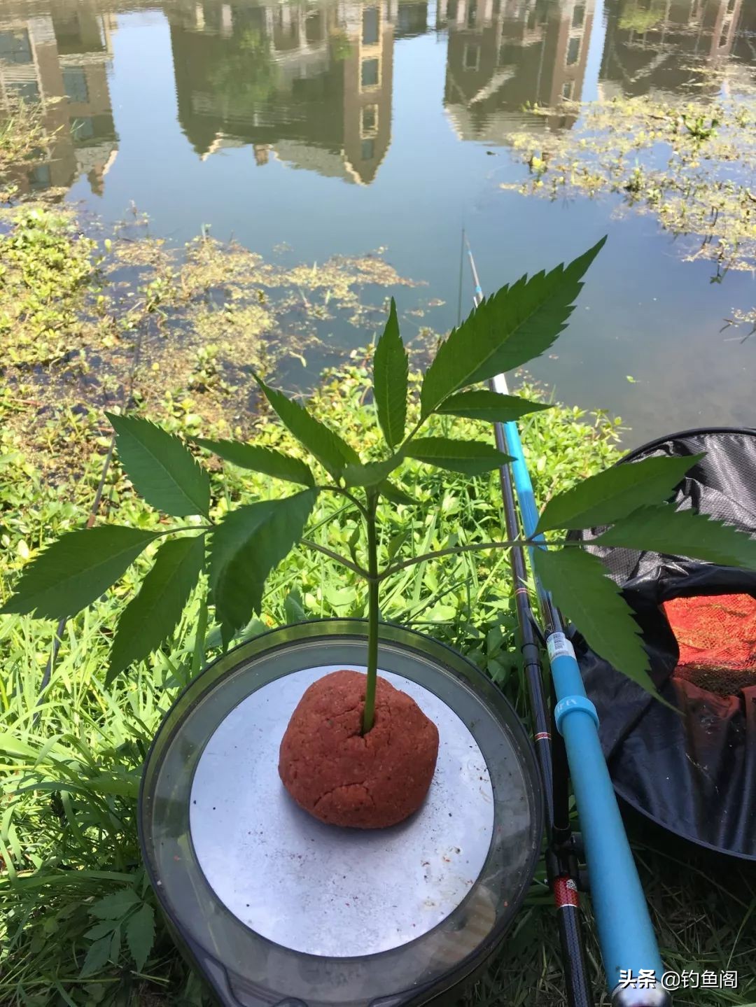 西南風好釣魚嗎 冬天在什麼方位釣