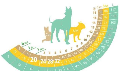 狗的壽命一般多長時間為一年 狗的壽命怎麼算