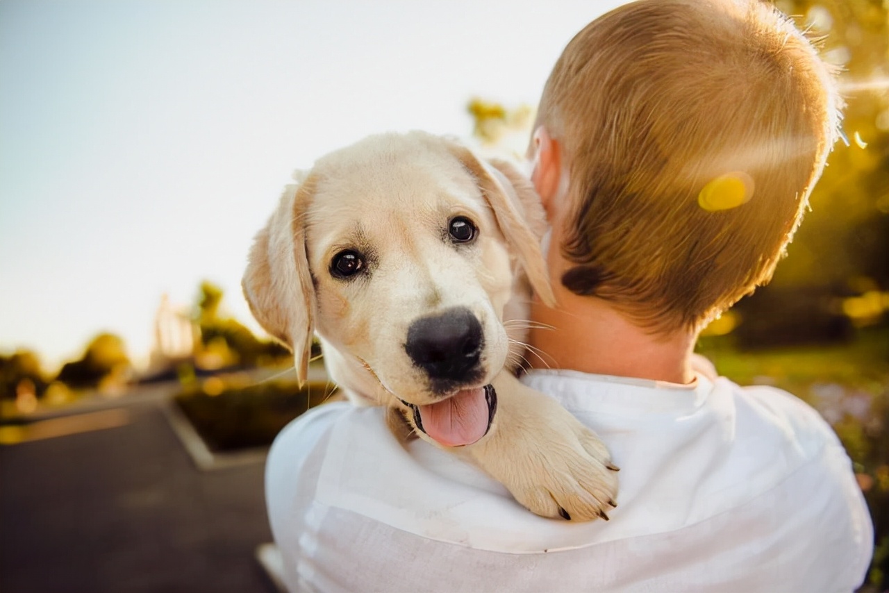 心理學分析喜歡狗的人 喜歡養狗的人一般是什麼性格