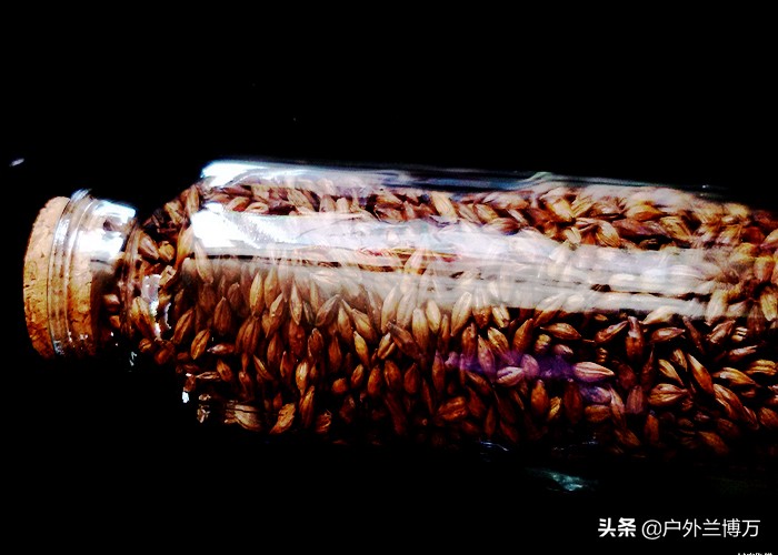 自制釣魚小麥秘方 配制釣魚小麥窩料做法