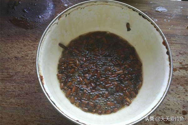 丁香油釣魚 什麼季節用丁香油釣魚