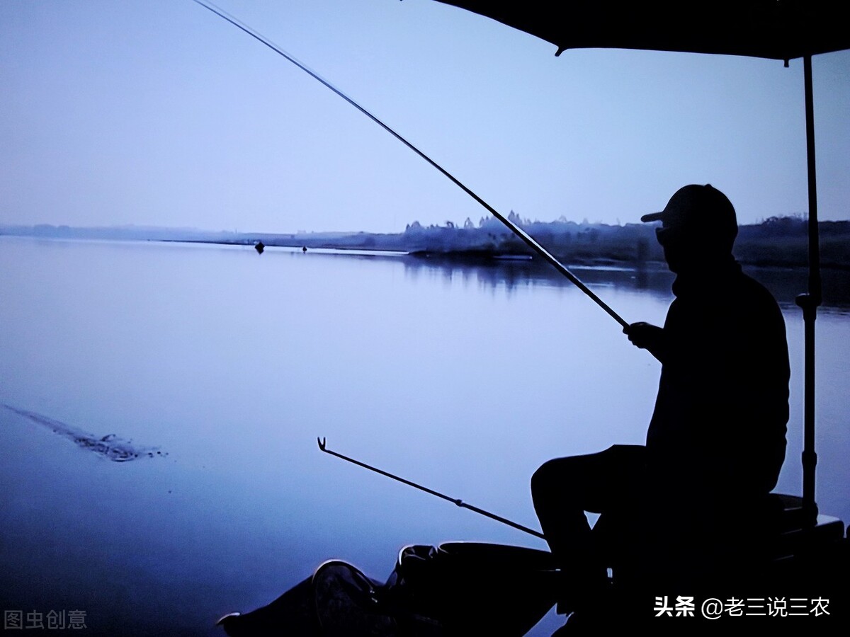 怎麼釣魚 新手釣魚方法