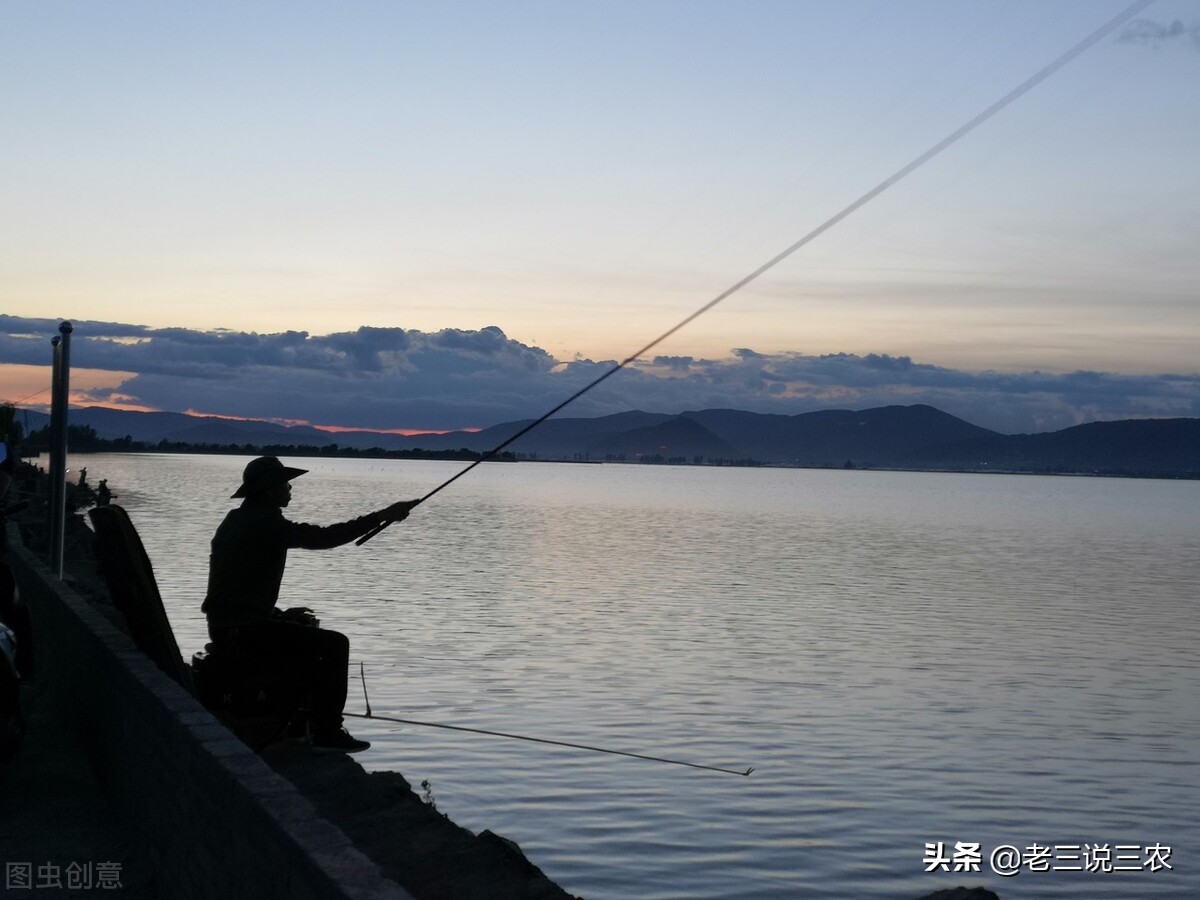 怎麼釣魚 新手釣魚方法