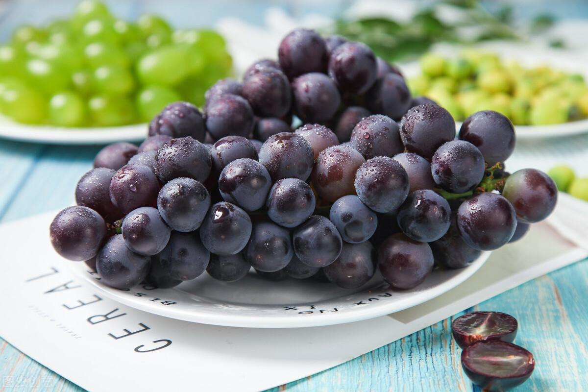黑加侖和葡萄的區別 黑加侖與葡萄比誰更好