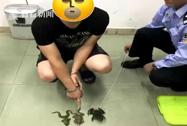 青蛙屬於幾級保護動物 國傢保護青蛙的種類