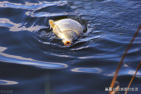 跑鉛釣法怎麼調漂 釣魚調漂方法