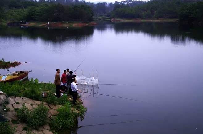 朝天鉤適合釣什麼魚 朝天鉤能釣到大魚嗎