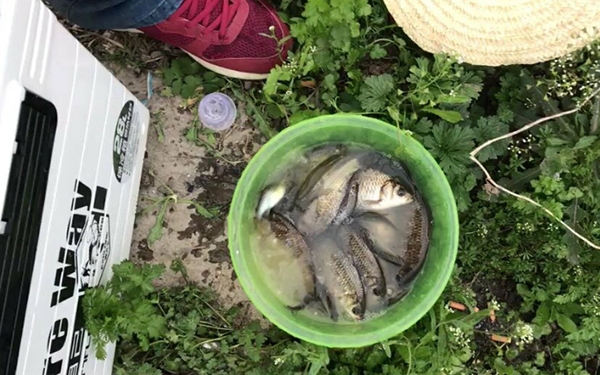 秋季釣鯽魚釣深水還是釣淺水 釣鯽魚最佳水深