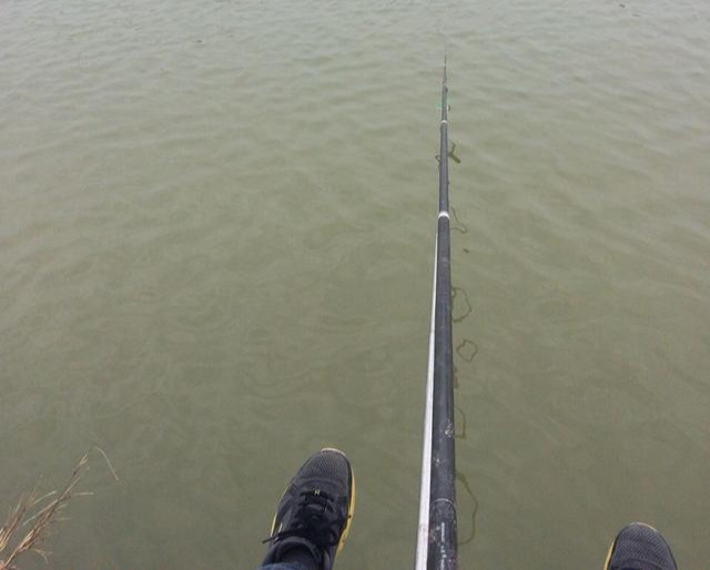 藿香正氣水釣魚真有用嗎 藿香正氣釣魚怎麼樣