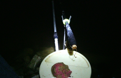 為什麼冬天適合夜釣釣鯽魚 冬天野釣鯽魚技巧