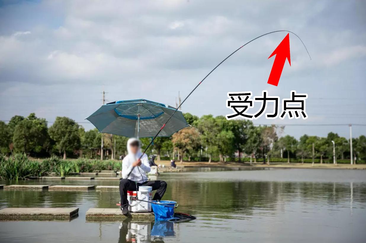 新手釣魚用什麼魚竿 如何選擇釣魚竿