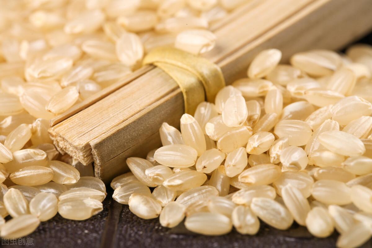 胚芽米和大米的區別 胚芽米為什麼比普通大米好吃