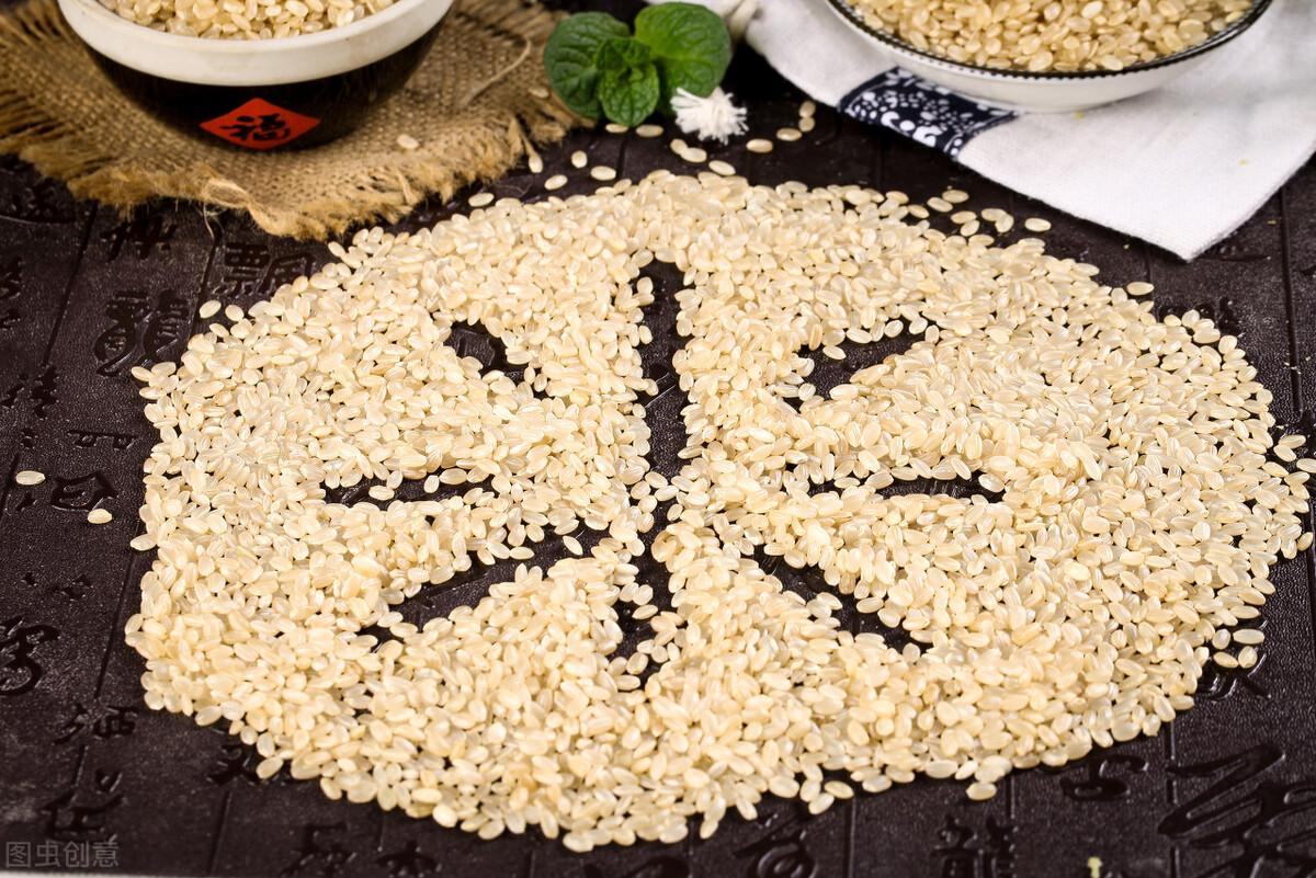 胚芽米和大米的區別 胚芽米為什麼比普通大米好吃