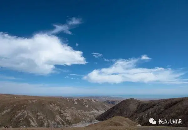 海拔最高的盆地是哪個盆地 我國海拔最高的盆地是什麼