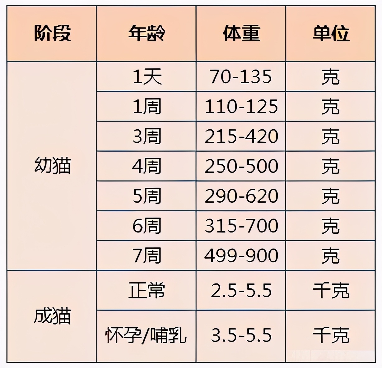 五個月的貓咪標準體重 藍貓的正常體重大概是多少