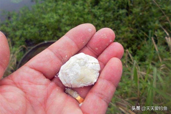 釣鯽魚用什麼餌料最好 釣鯽魚餌料配方