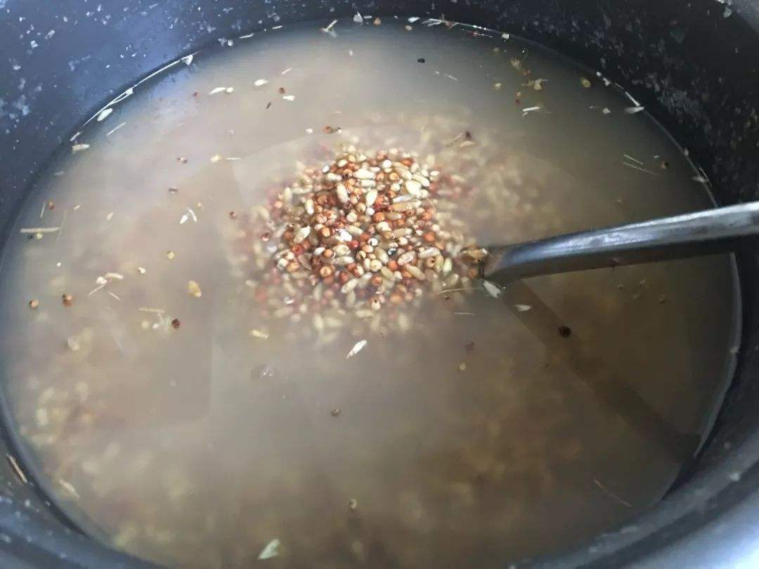 冬季釣鯽魚用什麼味型的窩料 奶香味的怎麼樣