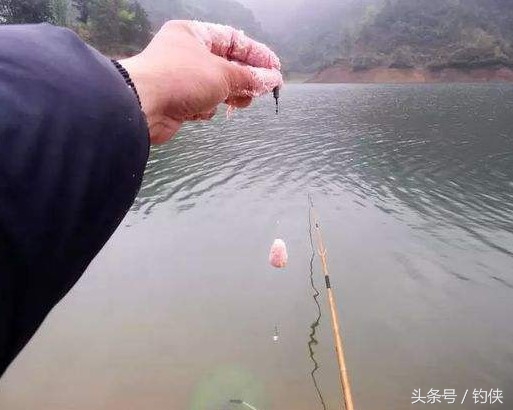 冬釣鰱鳙怎麼釣 冬季如何釣鰱鳙魚