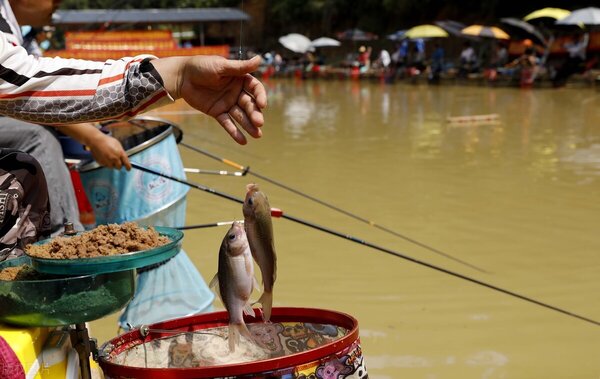 今天適合釣魚嗎 冬天夜釣釣得到魚嗎