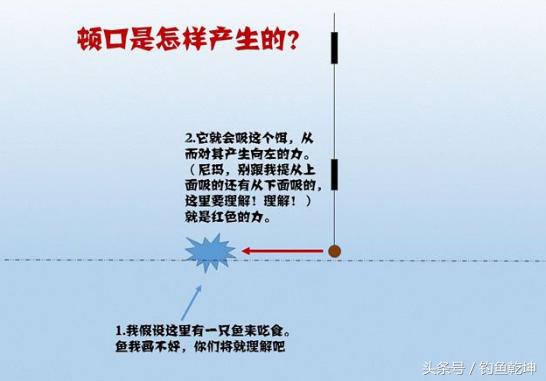 新手釣魚調漂技巧視頻教程 釣魚調漂教學